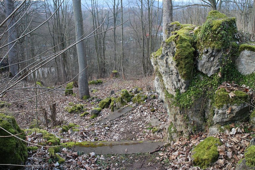 Es gibt noch viel zu tun - im Park