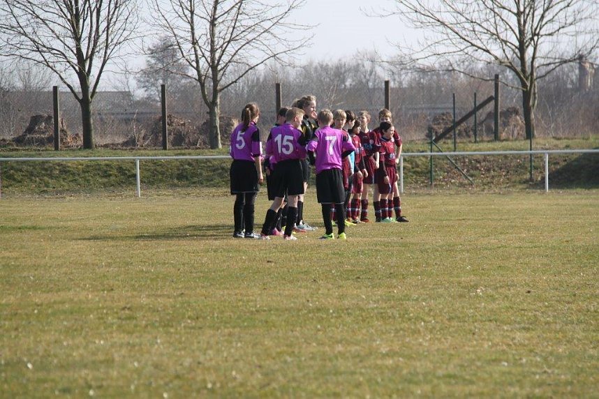 Kantersieg in der Goldenen Aue