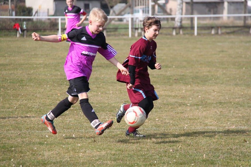 Kantersieg in der Goldenen Aue