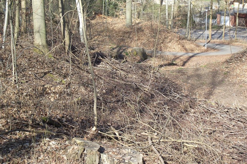 Wohin der�Gehege-Spazierg&auml;nger�gegenw&auml;rtig auch blickt, &uuml;berall findet er herumliegendes Astwerk aller Gr&ouml;&szlig;en. Ein einziges h&ouml;lzernes Chaos. 