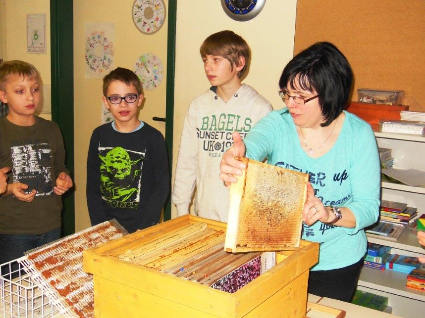 Bienenforscher in Harztor