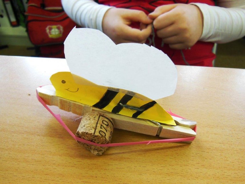 Bienenforscher in Harztor