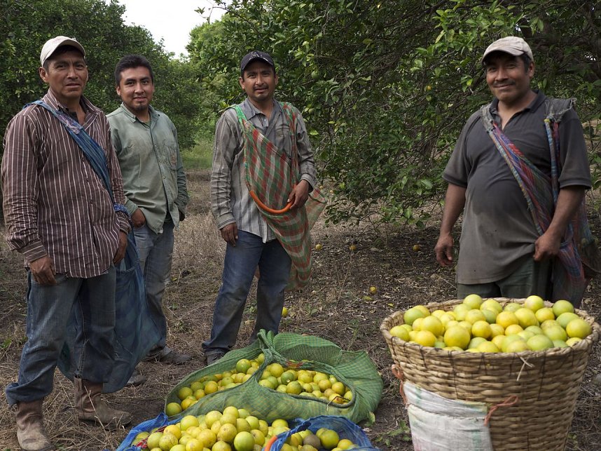 Fairtrade entt&auml;uscht