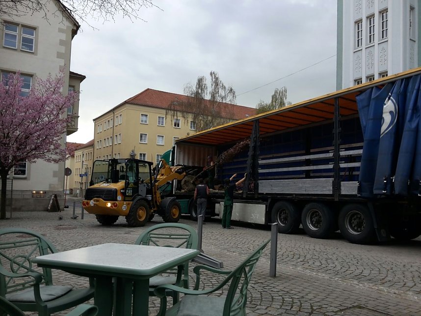 Kirschenbl&uuml;te angeliefert