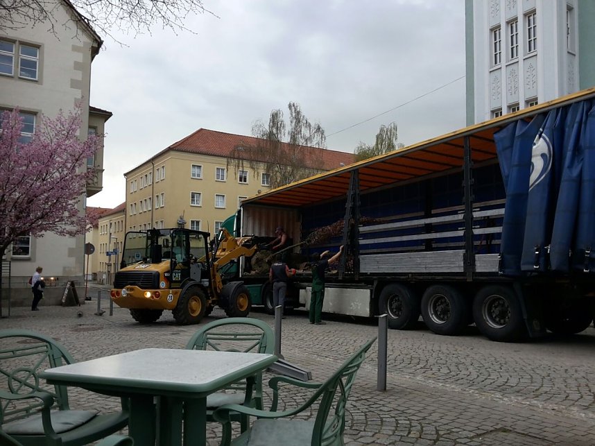 Kirschenbl&uuml;te angeliefert