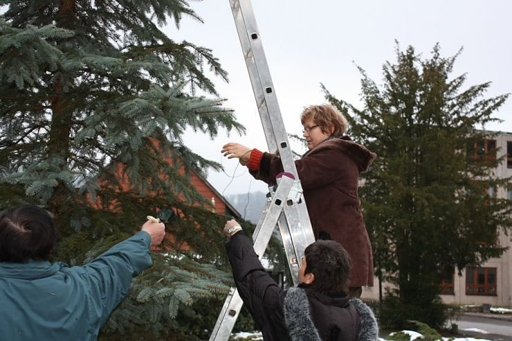 Der Weihnachtsbaum steht