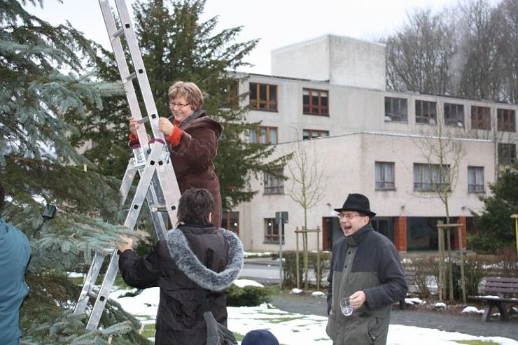 Der Weihnachtsbaum steht