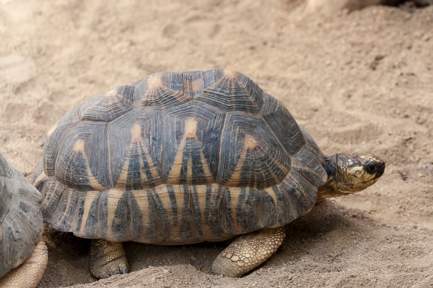 Besuch im Leipziger Zoo