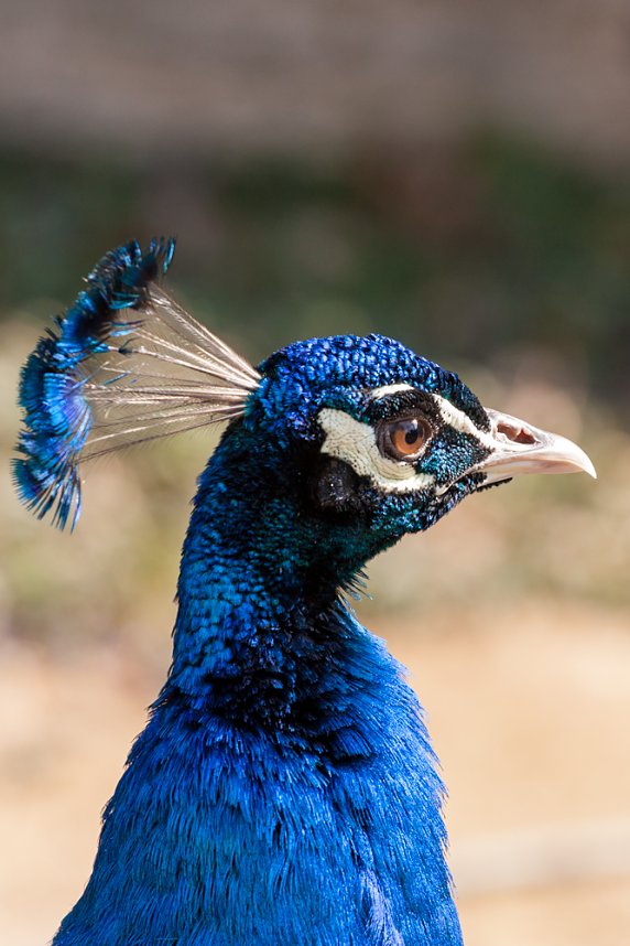 Besuch im Leipziger Zoo