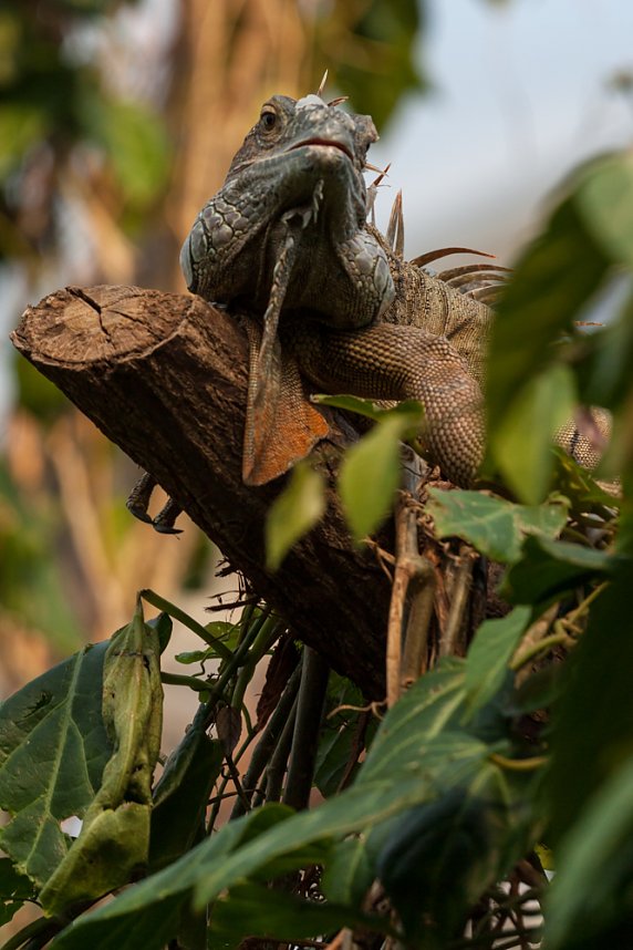 Besuch im Leipziger Zoo