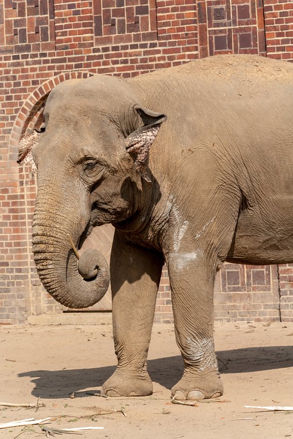 Besuch im Leipziger Zoo