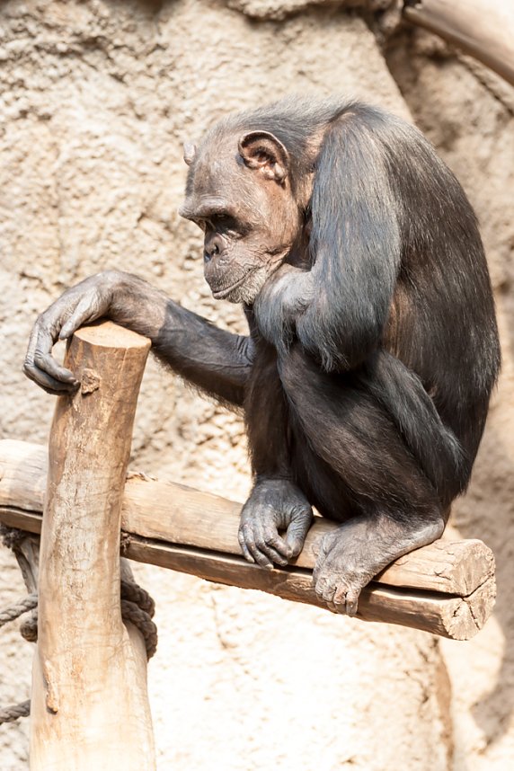 Besuch im Leipziger Zoo