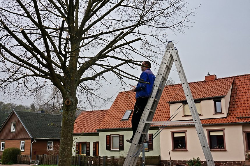 Neustadt r&auml;umt auf