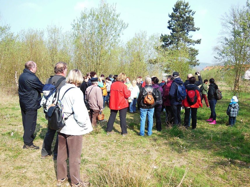 Wildkr&auml;uterwanderung im S&uuml;dharz