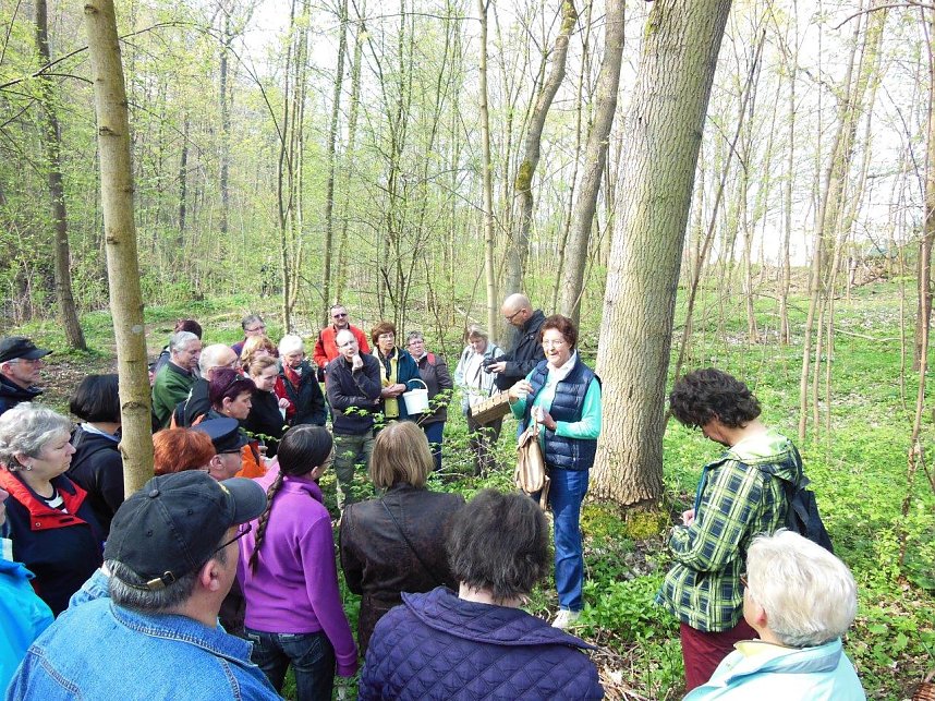 Wildkr&auml;uterwanderung im S&uuml;dharz