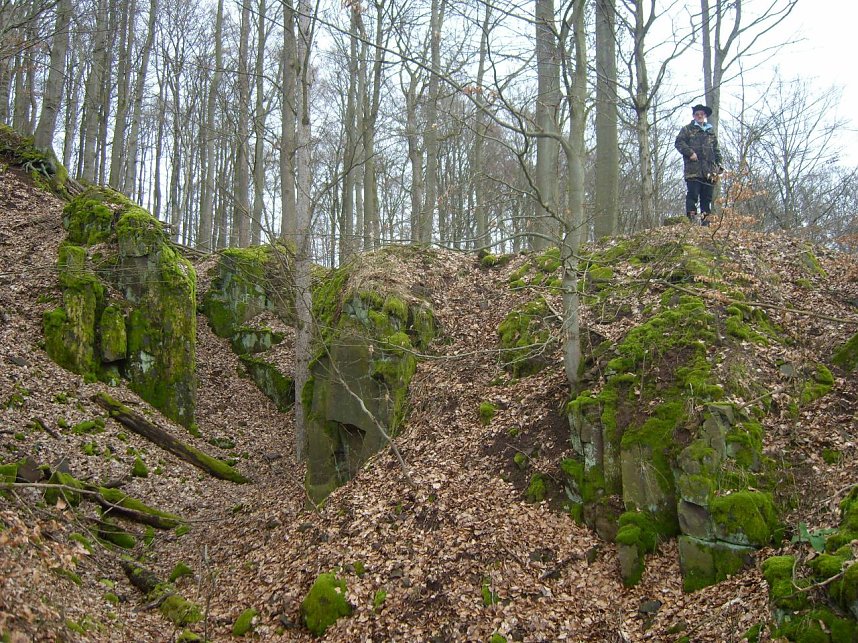 Im Braunsteinh&auml;user Revier