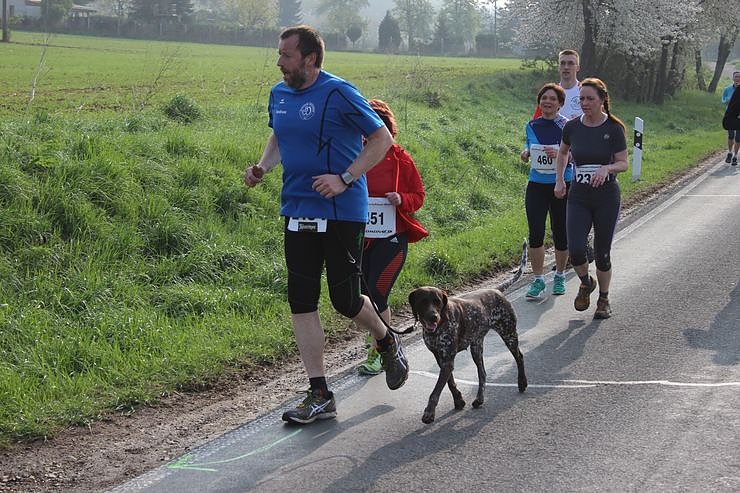 Impressionen vom Kyffh&auml;userberglauf 2014 (1)