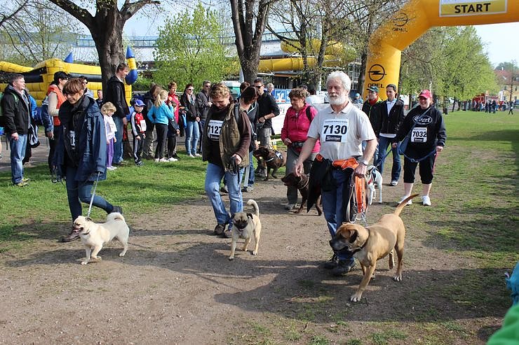 Impressionen vom Kyffh&auml;userberglauf 2014 (1)