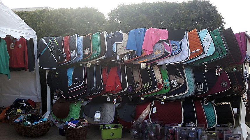 Pferdesportwochenende in Wollersleben