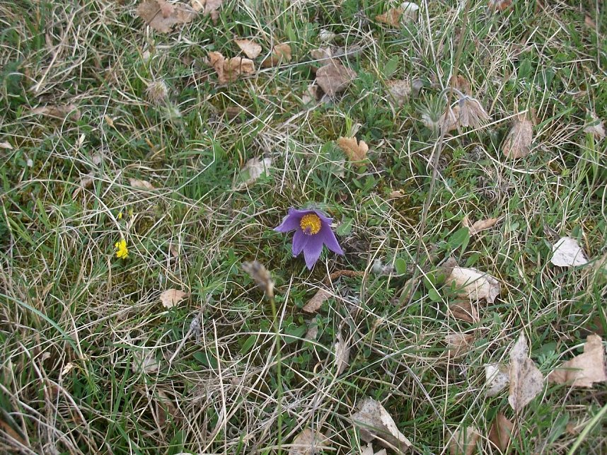 Wundersch&ouml;ne Wanderung