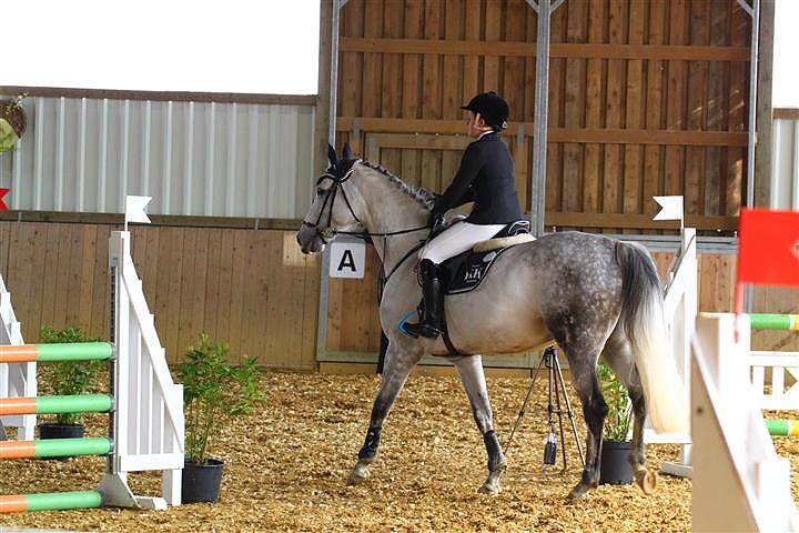 Reitturnier in Immenrode