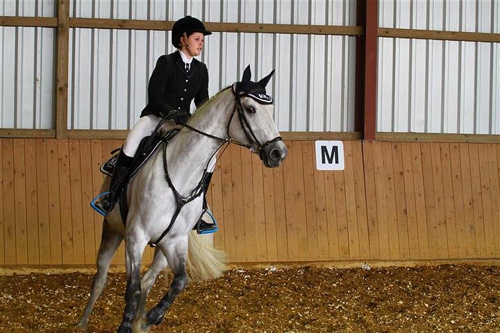 Reitturnier in Immenrode