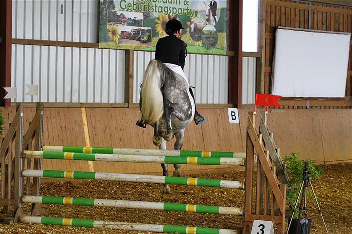 Reitturnier in Immenrode