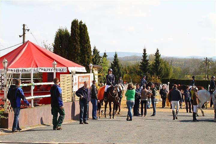 Reitturnier in Immenrode