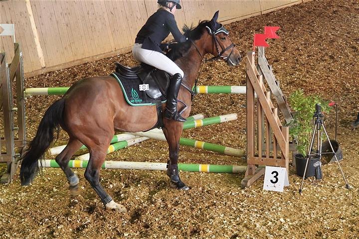 Reitturnier in Immenrode