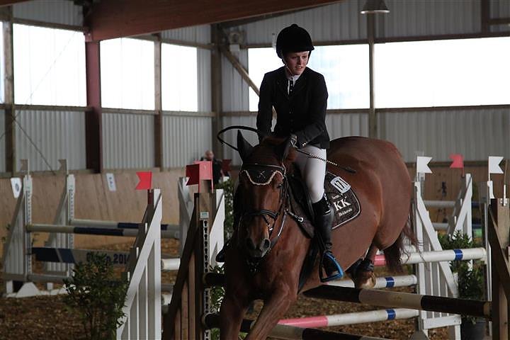 Reitturnier in Immenrode