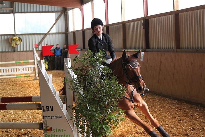 Reitturnier in Immenrode