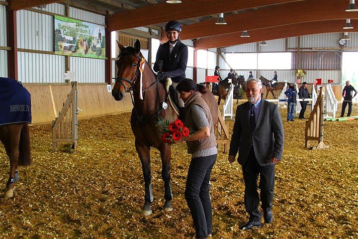 Reitturnier in Immenrode