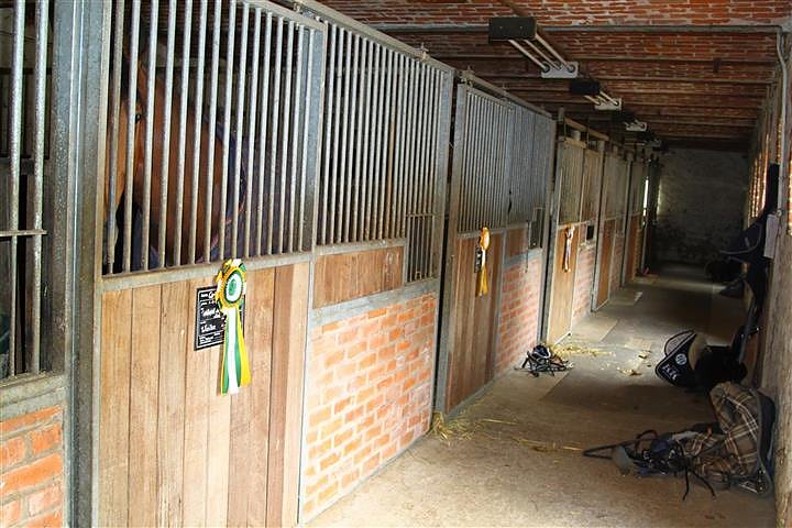 Reitturnier in Immenrode