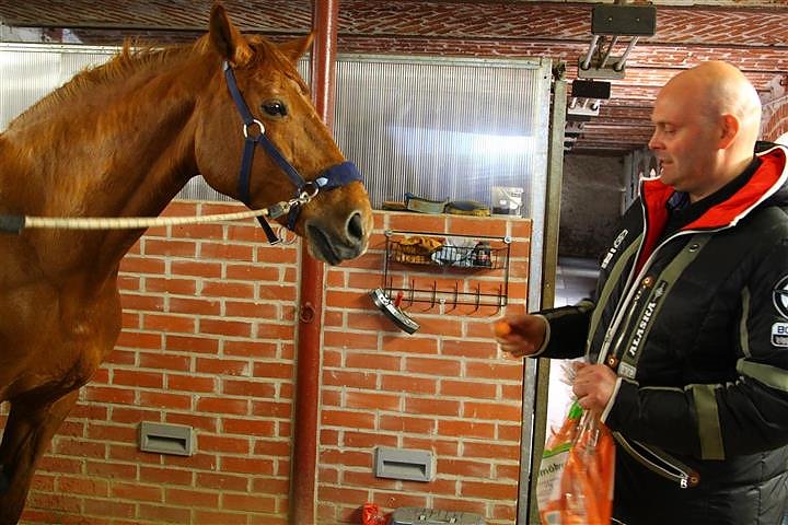 Reitturnier in Immenrode