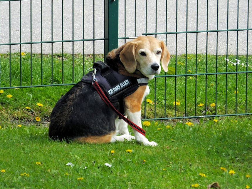 Ostern in Nordhausen