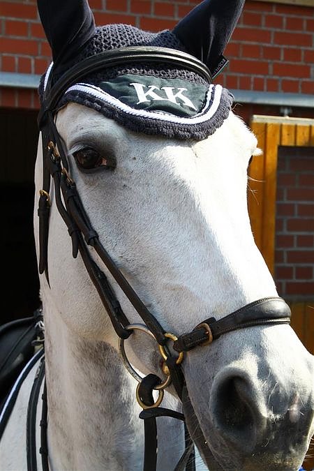 Reitturnier in Immenrode