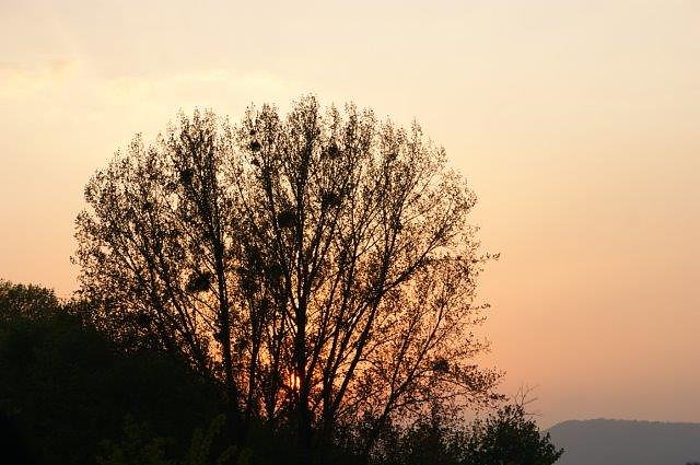 Osterfeuer in Obergebra