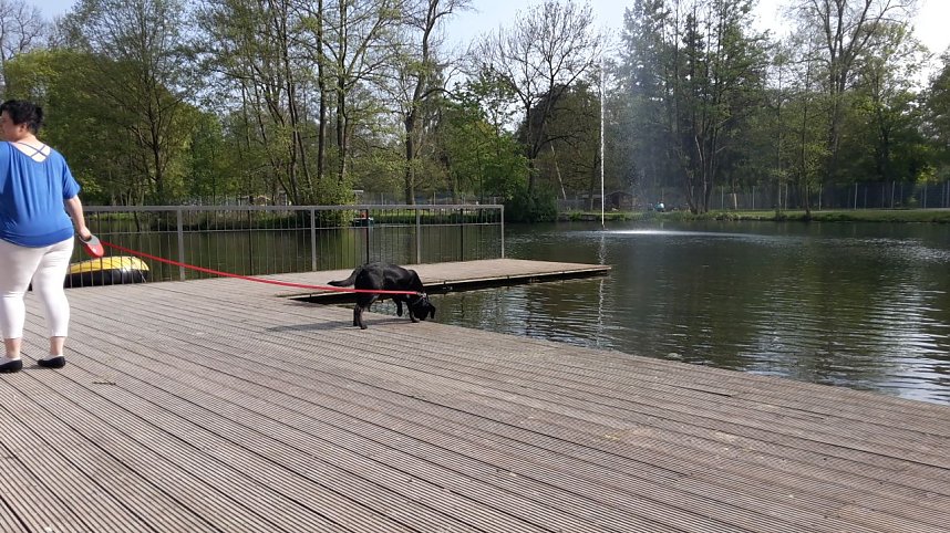 Im Stadtpark unterwegs