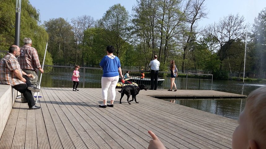 Im Stadtpark unterwegs