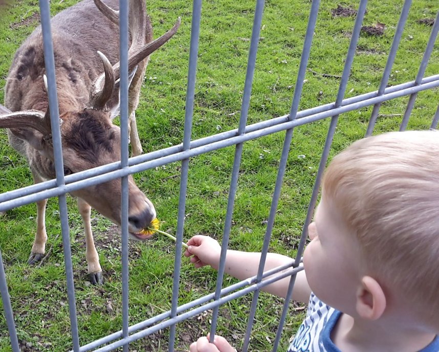 Im Stadtpark unterwegs