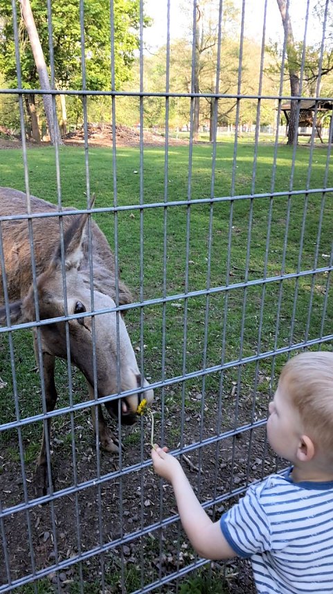 Im Stadtpark unterwegs