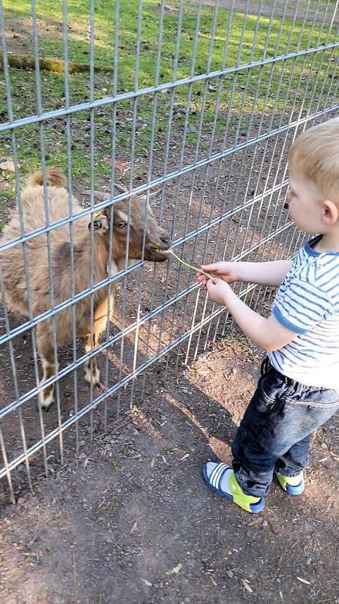 Im Stadtpark unterwegs
