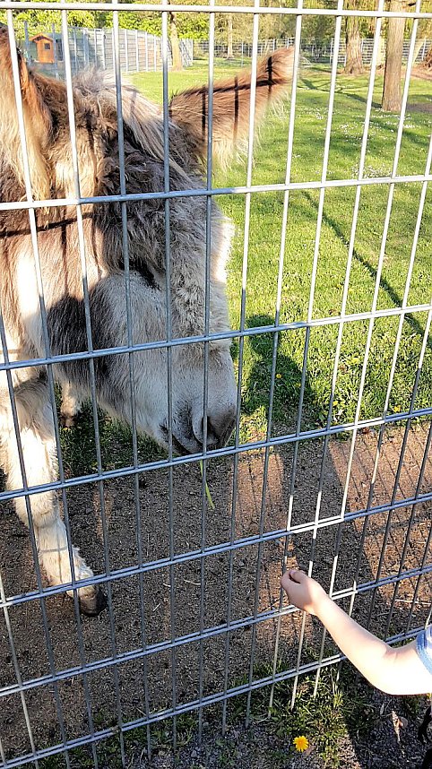 Im Stadtpark unterwegs