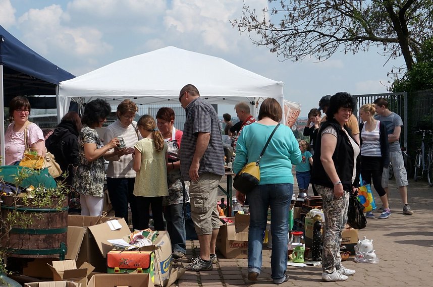 Besucherrekord im Tierheim