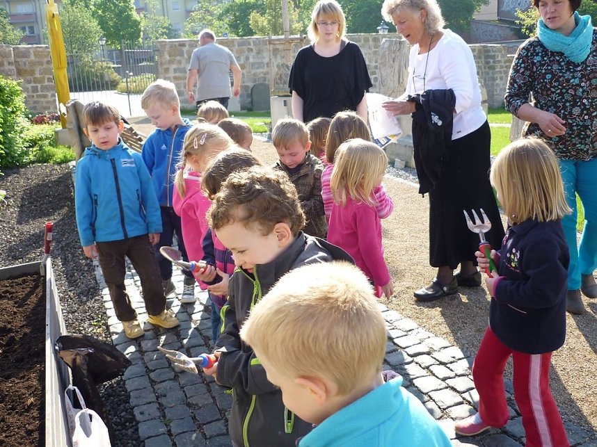 Blumen f&uuml;r die Flohburg