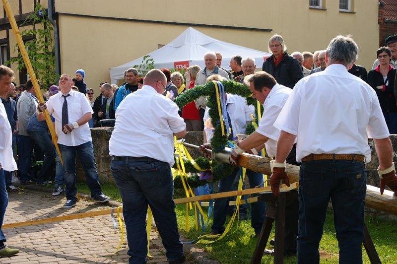 Maibaum in Obergebra gesetzt