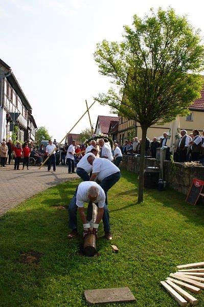 Maibaum in Obergebra gesetzt