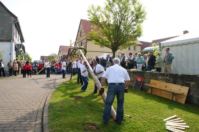 Maibaum in Obergebra gesetzt