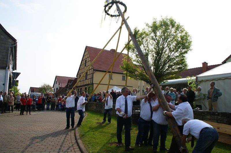 Maibaum in Obergebra gesetzt