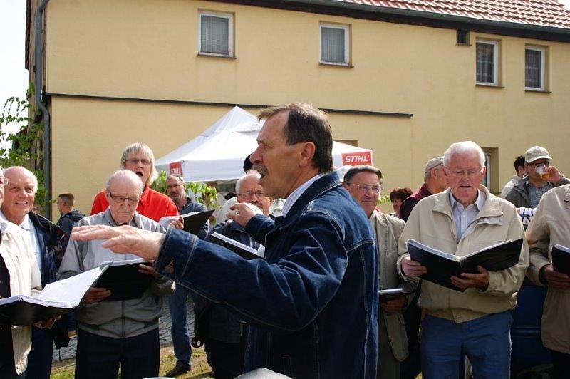 Maibaum in Obergebra gesetzt